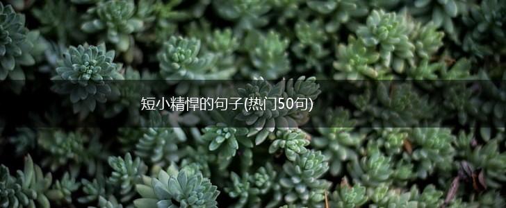 短小精悍的句子(热门50句),第1张