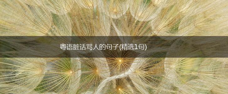 粤语脏话骂人的句子(精选1句),第1张