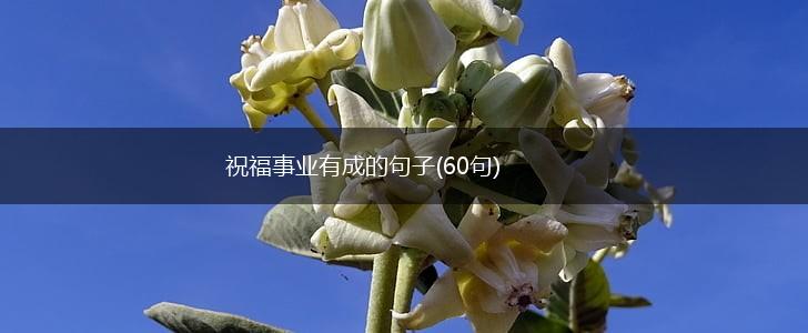 祝福事业有成的句子(60句),第1张