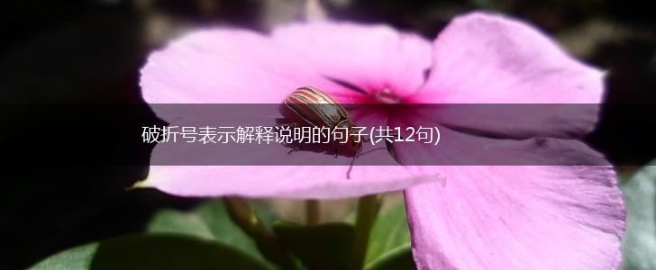 破折号表示解释说明的句子(共12句),第1张