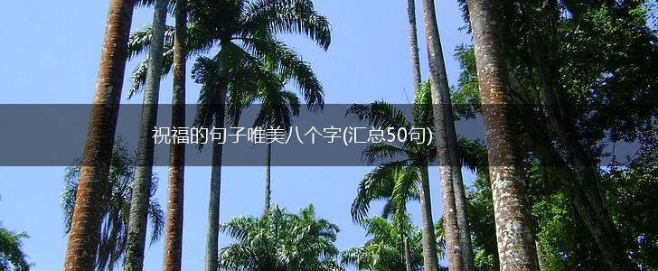 祝福的句子唯美八个字(汇总50句),第1张