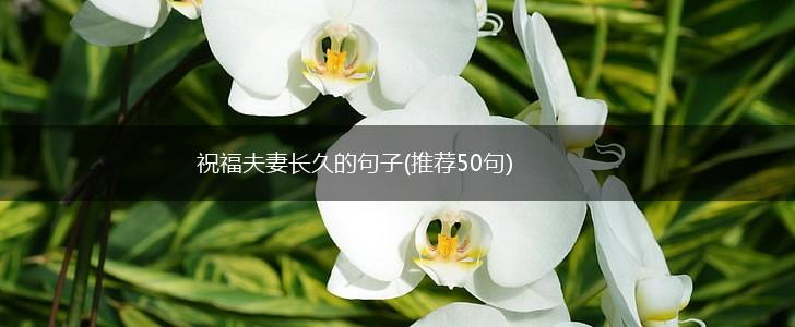 祝福夫妻长久的句子(推荐50句),第1张