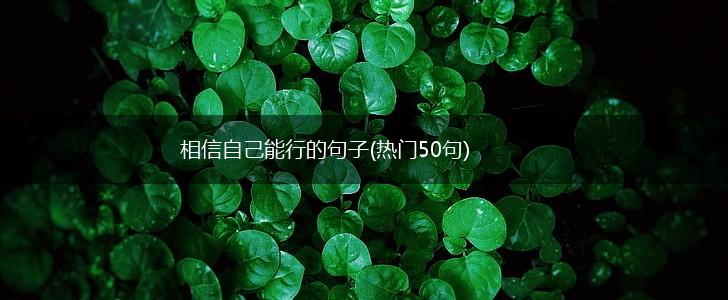 相信自己能行的句子(热门50句),第1张