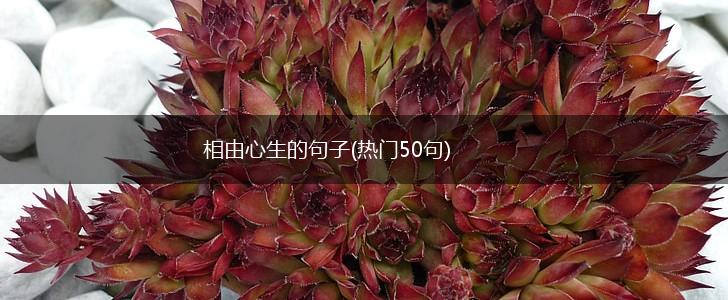 相由心生的句子(热门50句),第1张