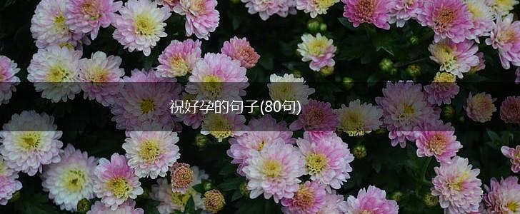 祝好孕的句子(80句),第1张