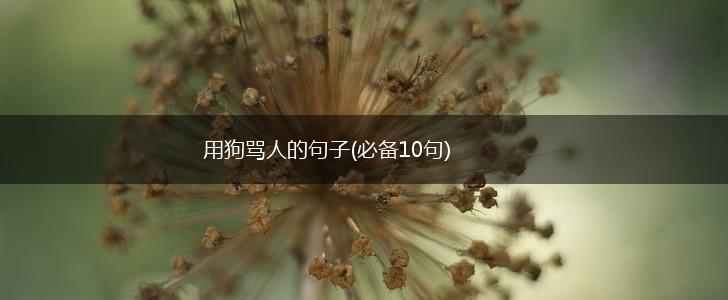 用狗骂人的句子(必备10句),第1张
