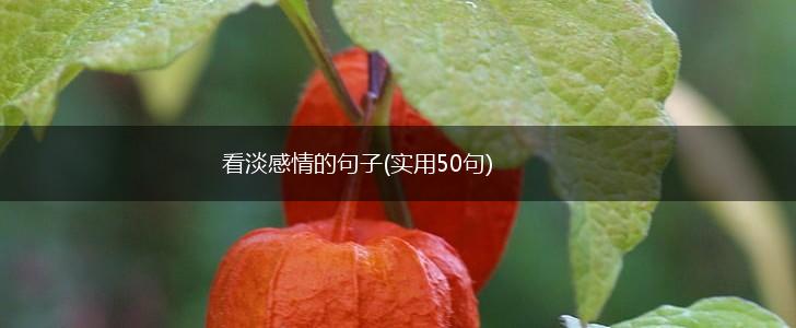 看淡感情的句子(实用50句),第1张 看淡感情的句子(实用50句),第1张