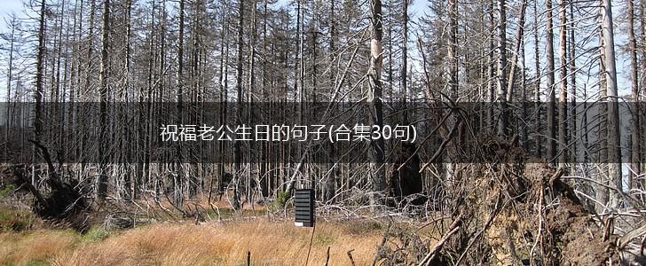 祝福老公生日的句子(合集30句),第1张