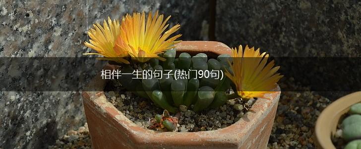相伴一生的句子(热门90句),第1张