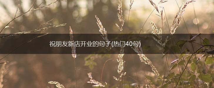 祝朋友新店开业的句子(热门40句),第1张