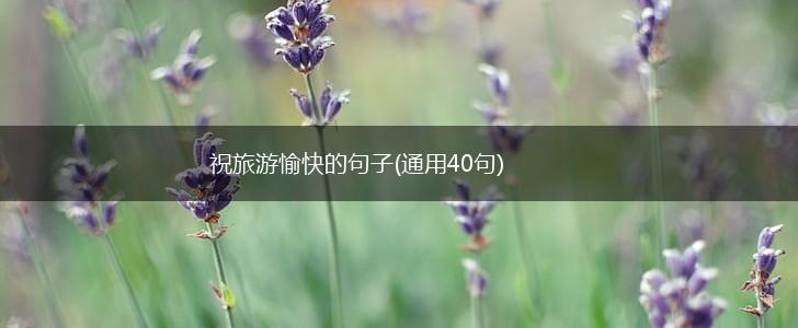 祝旅游愉快的句子(通用40句),第1张