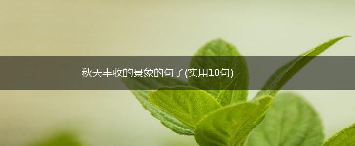 秋天丰收的景象的句子(实用10句),第1张