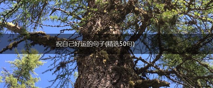 祝自己好运的句子(精选50句),第1张