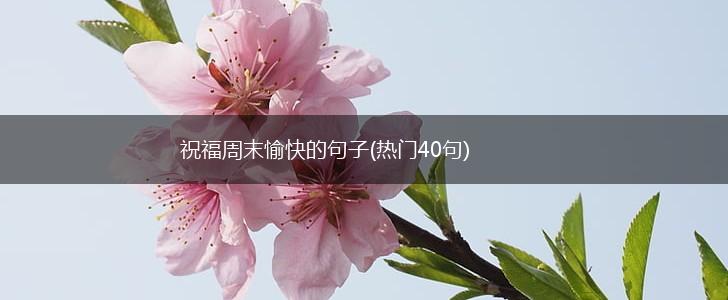 祝福周末愉快的句子(热门40句),第1张