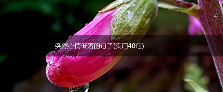 突然心情低落的句子(实用40句),第1张