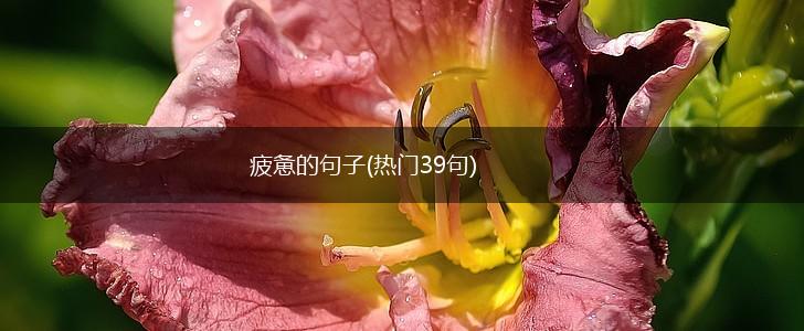 疲惫的句子(热门39句),第1张