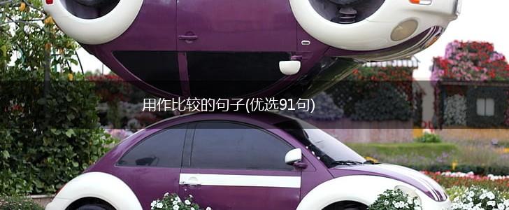 用作比较的句子(优选91句),第1张