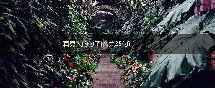 真男人的句子(合集35句),第1张