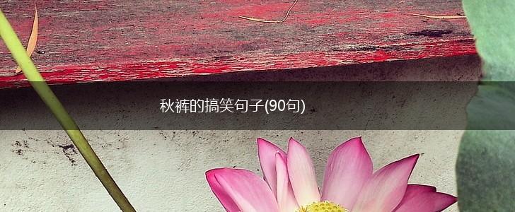 秋裤的搞笑句子(90句),第1张