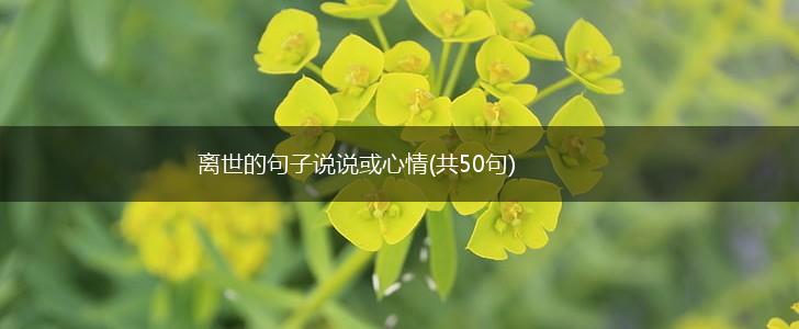 离世的句子说说或心情(共50句),第1张