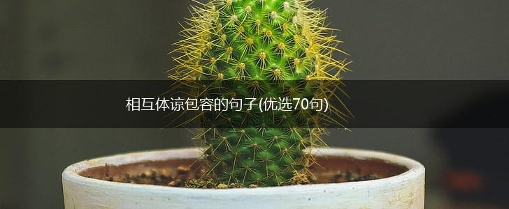 相互体谅包容的句子(优选70句),第1张