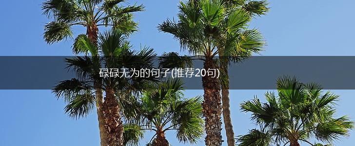 碌碌无为的句子(推荐20句),第1张