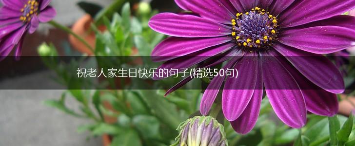 祝老人家生日快乐的句子(精选50句),第1张
