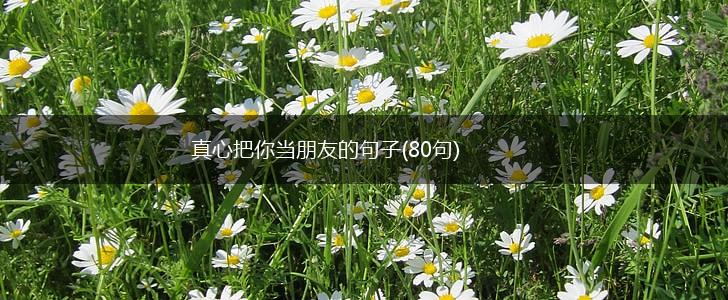 真心把你当朋友的句子(80句),第1张