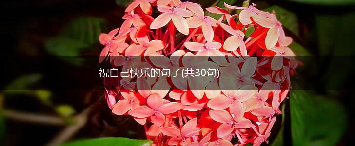 祝自己快乐的句子(共30句),第1张