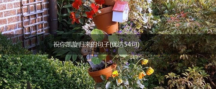 祝你凯旋归来的句子(优选54句),第1张