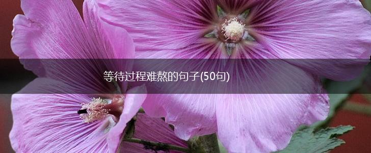 等待过程难熬的句子(50句),第1张