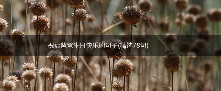 祝福爸爸生日快乐的句子(精选78句),第1张 祝福爸爸生日快乐的句子(精选78句),第1张