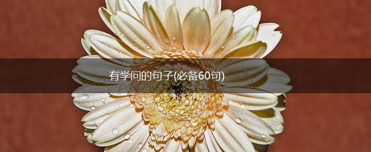 有学问的句子(必备60句),第1张