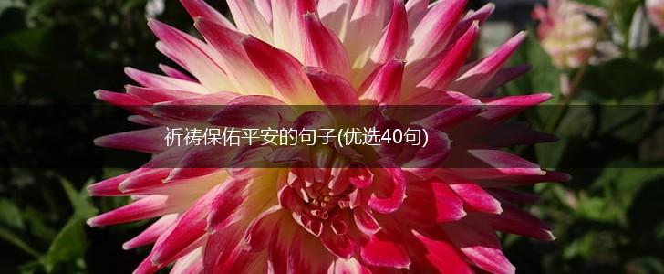 祈祷保佑平安的句子(优选40句),第1张