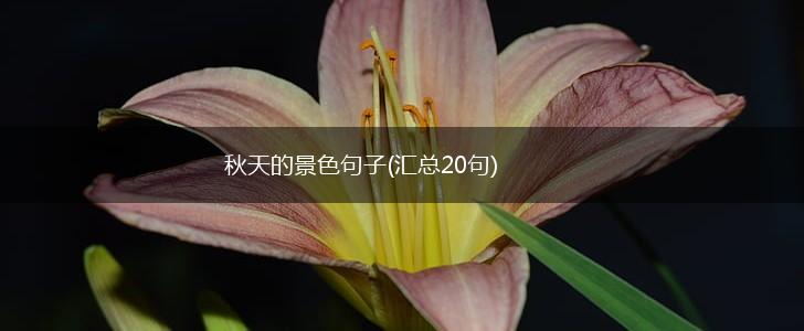 秋天的景色句子(汇总20句),第1张