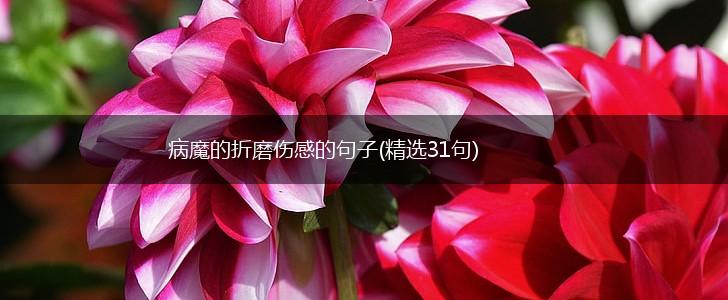病魔的折磨伤感的句子(精选31句),第1张