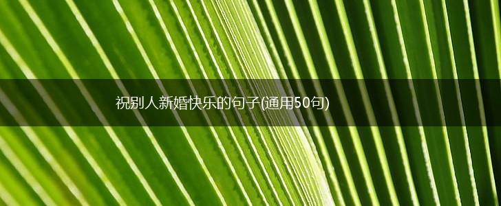 祝别人新婚快乐的句子(通用50句),第1张