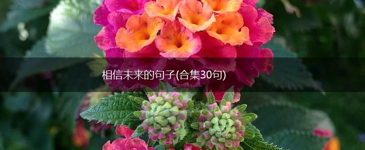 相信未来的句子(合集30句),第1张 相信未来的句子(合集30句),第1张