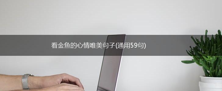 看金鱼的心情唯美句子(通用59句),第1张