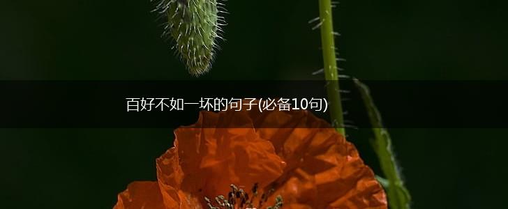 百好不如一坏的句子(必备10句),第1张