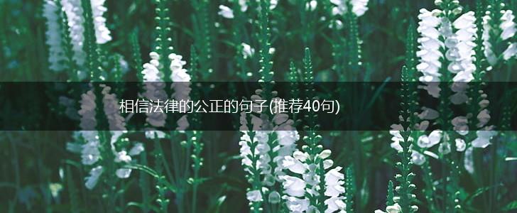 相信法律的公正的句子(推荐40句),第1张