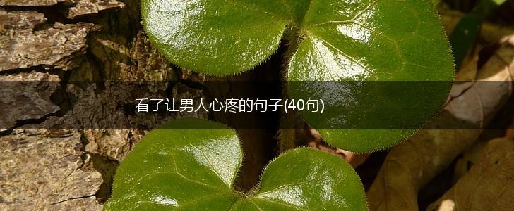 看了让男人心疼的句子(40句),第1张