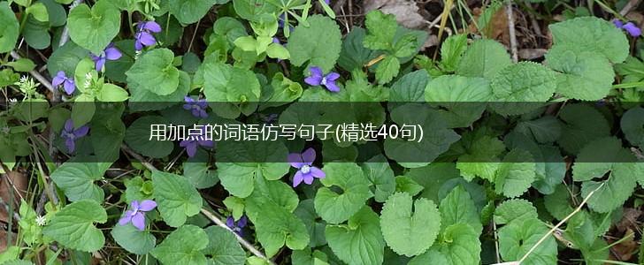 用加点的词语仿写句子(精选40句),第1张