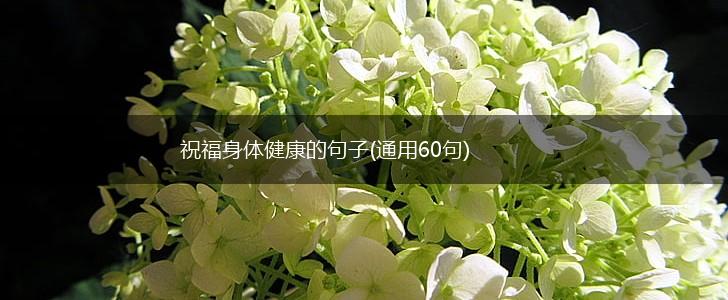 祝福身体健康的句子(通用60句),第1张 祝福身体健康的句子(通用60句),第1张