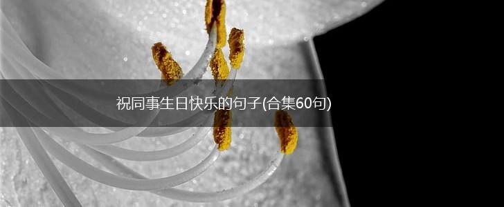 祝同事生日快乐的句子(合集60句),第1张
