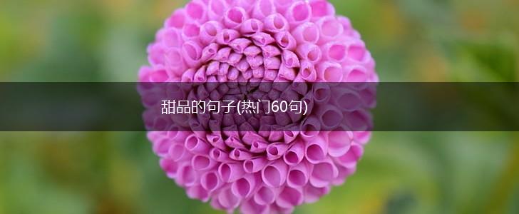 甜品的句子(热门60句),第1张