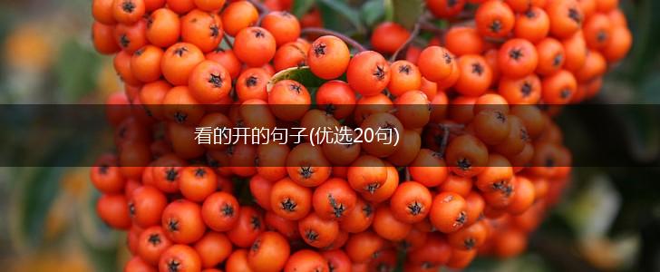 看的开的句子(优选20句),第1张