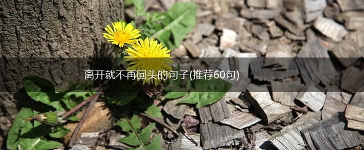 离开就不再回头的句子(推荐60句),第1张