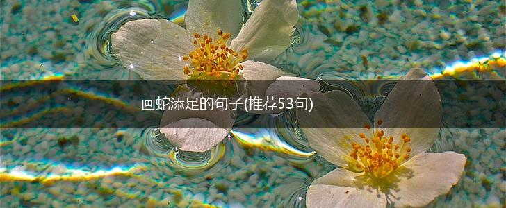画蛇添足的句子(推荐53句),第1张
