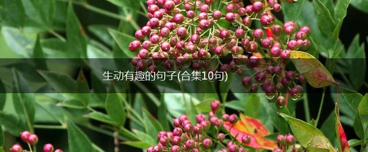 生动有趣的句子(合集10句),第1张